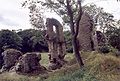 Ruins of the great hall and keep (2005)