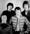 The Tremeloes