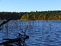 Großer Wummsee