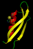 amyloid precursor protein