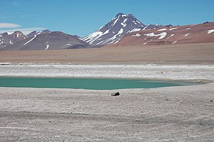 Акамарачі Acamarachi