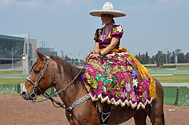 Monte en amazone au Mexique