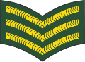 Sergeant (Barbados Regiment)[30]