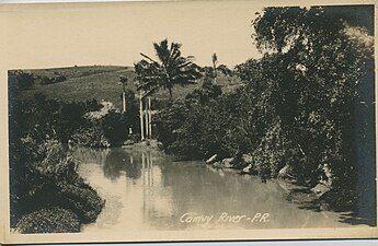 Camuy River circa 1900-1917