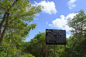 Welcome to the forest sign