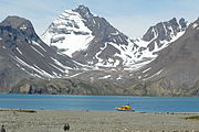 Polar Bound at Fortuna Bay, South Georgia (2003)