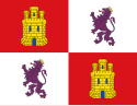 Flag of Castile and León king