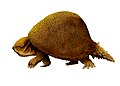 Glyptodon