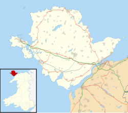St Tyfrydog's Church, Llandyfrydog is located in Anglesey