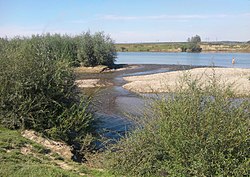 Река Ломница в месте впадения в Днестр, Ивано-Франковская область