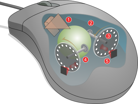 Computer mouse diagram