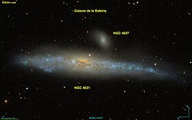 Image illustrative de l’article NGC 4631