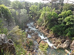 la rivière Nartuby prés de la Motte.