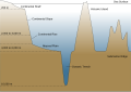 Image 32Cross-section of an ocean basin. Note significant vertical exaggeration. (from Demersal fish)