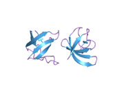 2gnc: Crystal structure of srGAP1 SH3 domain in the slit-robo signaling pathway