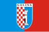 Flag of Golina