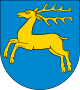 Kozienice – Stemma