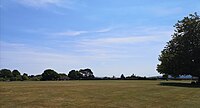 Petworth Park New Ground