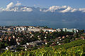 Vevey