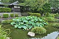 Rinzai-ji gardens