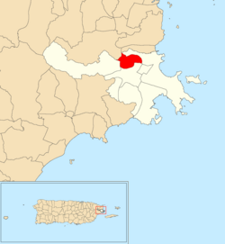 Location of Saco within the municipality of Ceiba shown in red