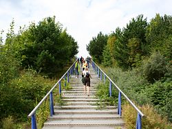 Treppe an der Schurenbachhalde