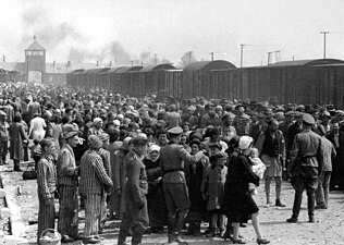 Jews from Carpatho-Ruthenia are "selected" on the Judenrampe, May–June 1944. To be sent to the right meant assignment to slave labour; to the left, the gas chambers.[41]
