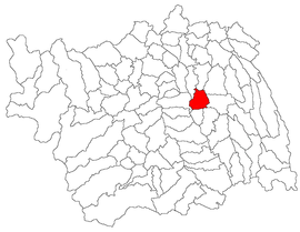 Location in Bacău County