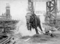 January 4: Electrocuting an Elephant