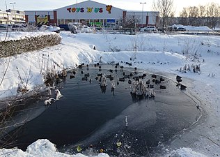 Liten anlagd sjö i Kungens kurva.