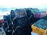 Experimental pots awaiting deployment.