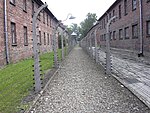 המחנה אושוויץ I