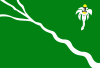 Flag of Belo Jardim