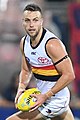 Brodie Smith playing for Adelaide in 2019