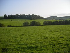 Des prairies dans le canton de Carignan.