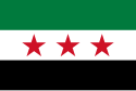 Flag of Turkish occupation of northern Syria