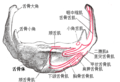 2019年6月16日 (日) 08:43版本的缩略图