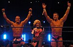 The Hart Dynasty (Tyson Kidd à gauche, Natalya au centre et David Hart Smith à droite).