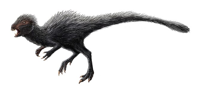 Heterodontosaurus