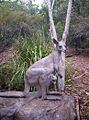Kangaroo and joey sculpture at Queens Park in Ipswich, Queensland
