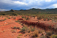 Vue du désert du Karoo.