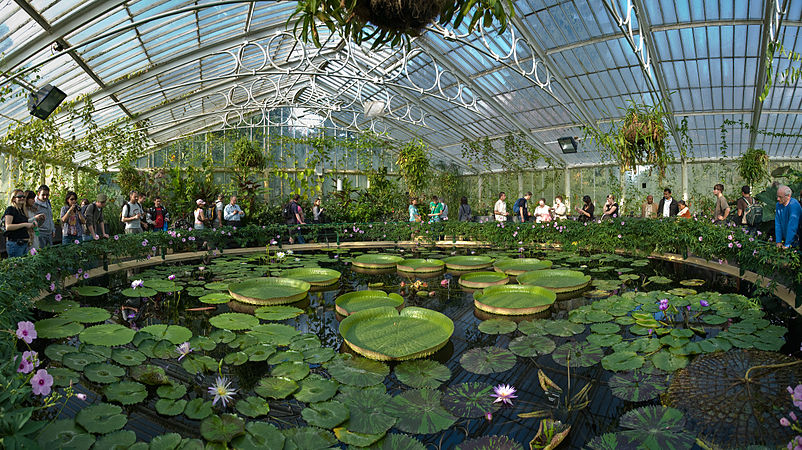 Interior of the Waterlily House at Royal Botanic Gardens, Kew, by Diliff