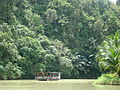 Sungai Loboc di Bohol