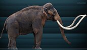 Columbian mammoth restoration