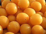 米拉別李 Mirabelle plum