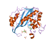 2onb: Human Thymidylate Synthase at low salt conditions with PDPA bound