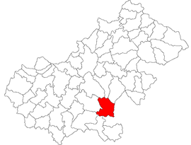 Location in Satu Mare County