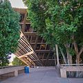 View of the building from behind mature trees