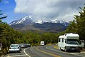 Ruapehu Dağı'nın eteklerindeki Güney kayın ormanı