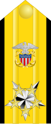 Proposed shoulder board insignia for a possible six-star admiral grade.